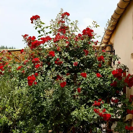 Poggio Pozzetti Farm stay